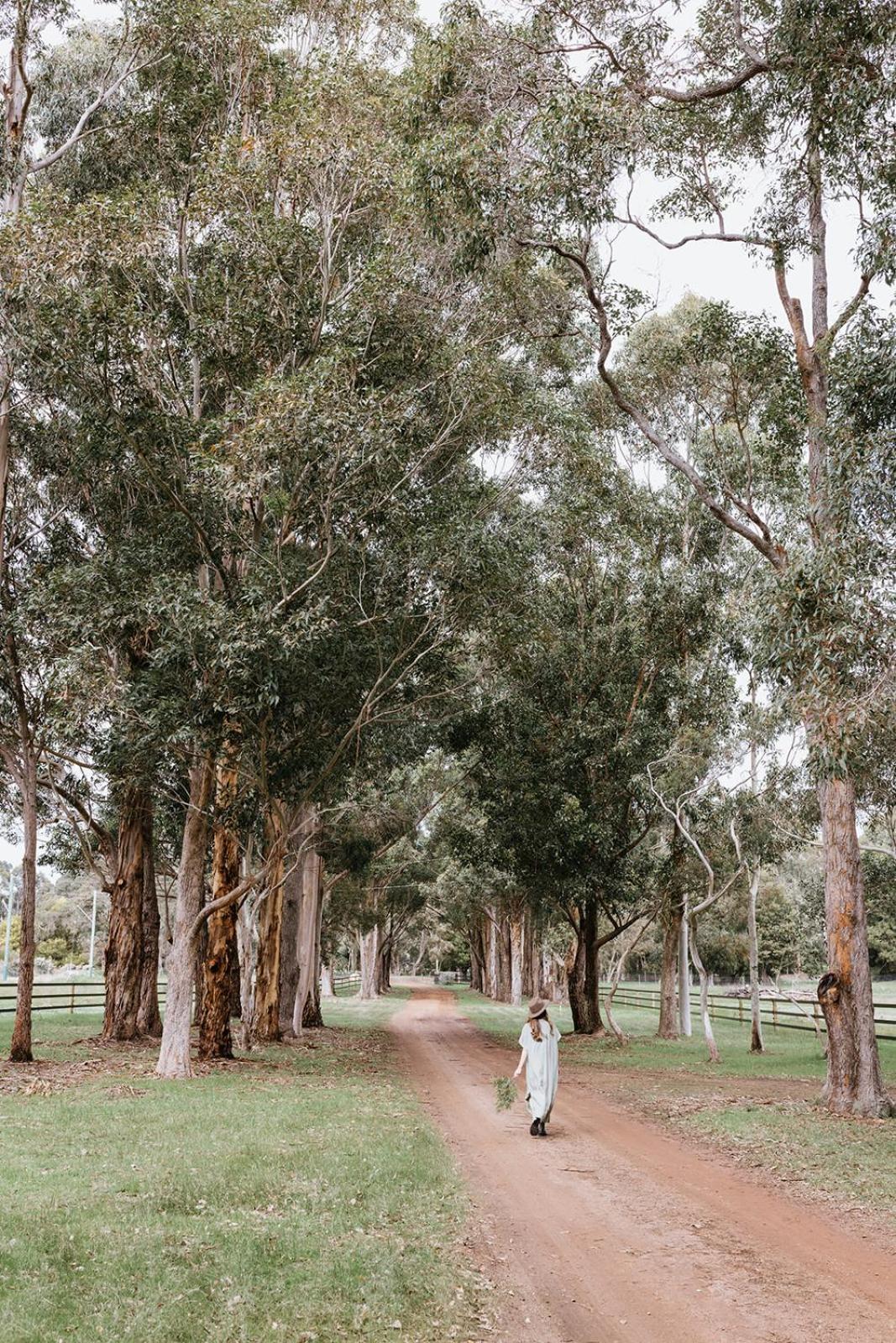 Chambre Estate Margaret River Екстериор снимка