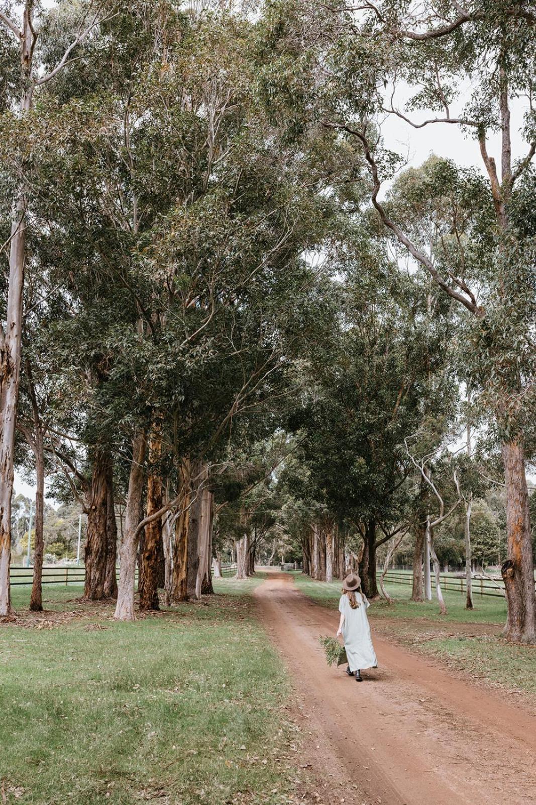 Chambre Estate Margaret River Екстериор снимка